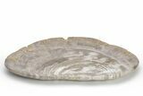 Tropical Hardwood Petrified Wood Dish - Indonesia #210602-2